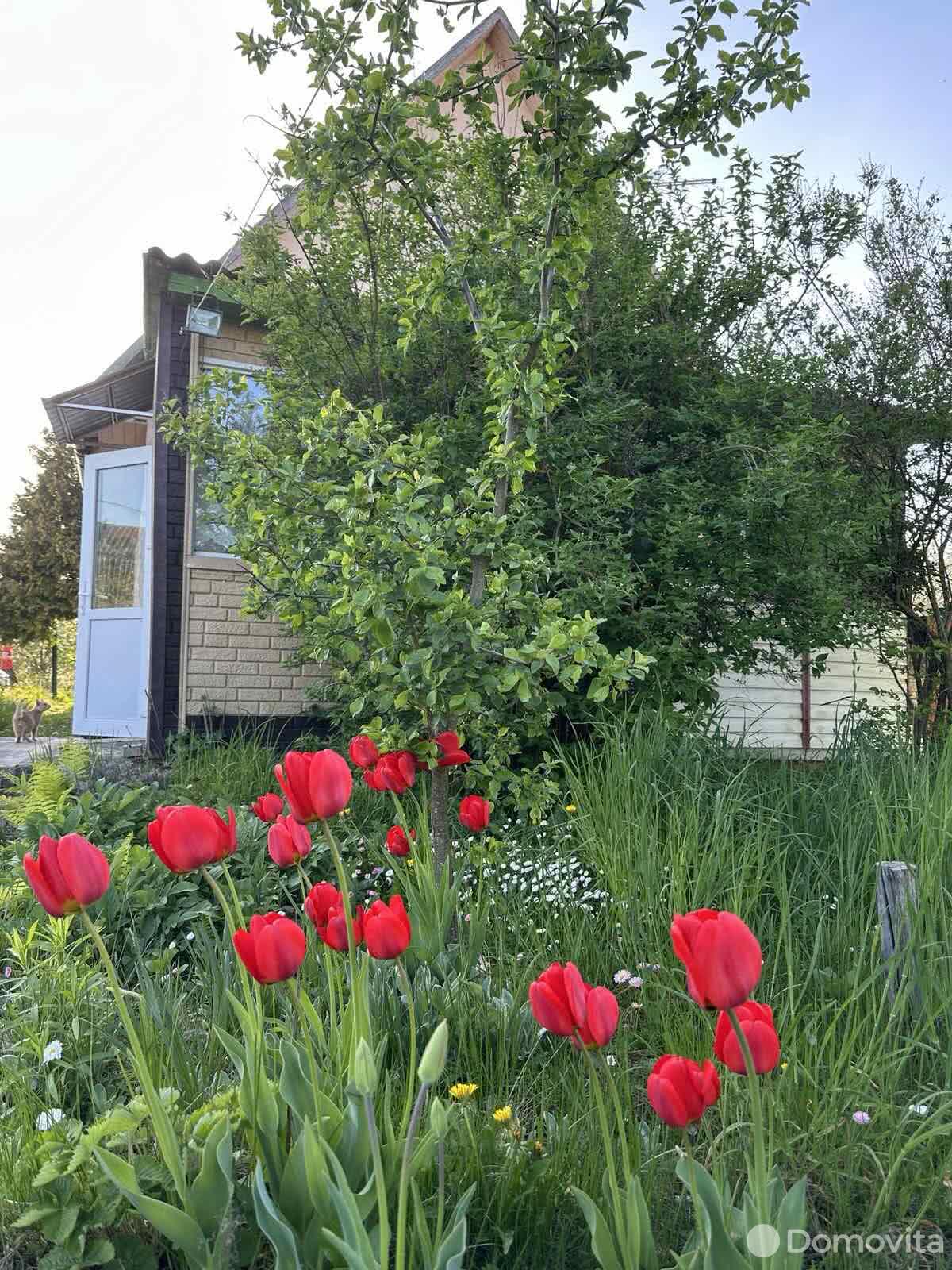 Продажа 1-этажной дачи в АНТОСИНО Минская область, 22000USD, код 178162 - фото 17