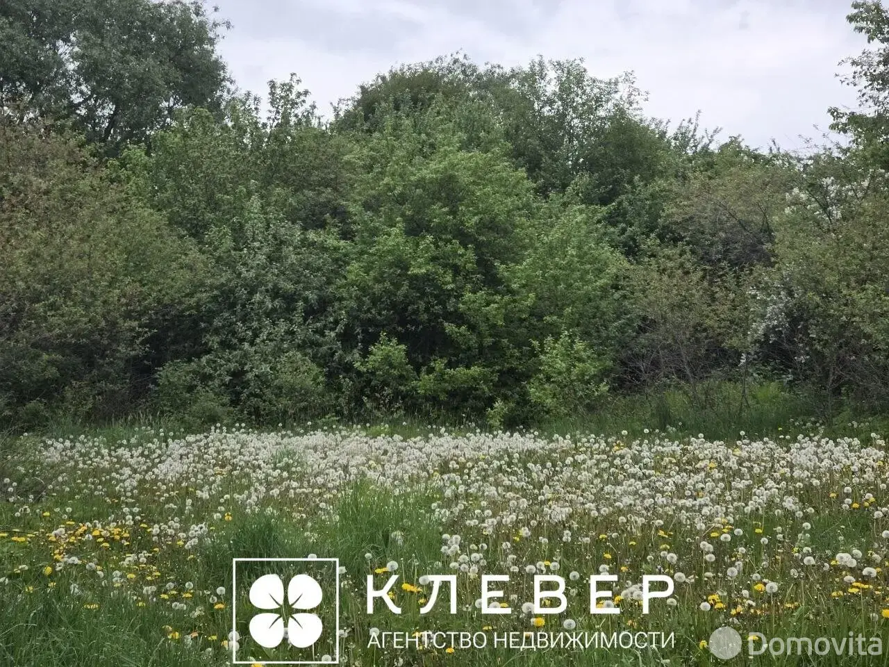 Купить земельный участок, 25 соток, Дещенка, Минская область, 35000USD, код 571987 - фото 11