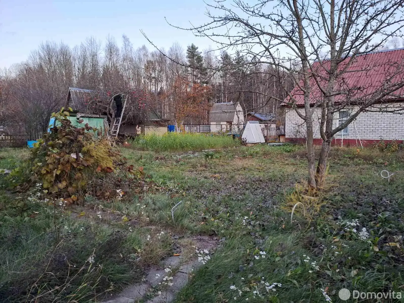 участок, Солнечный берег, 