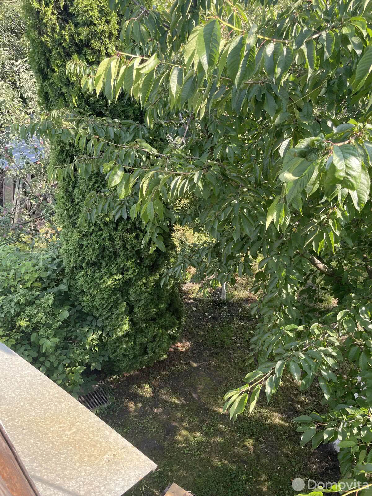 Купить 1-этажную дачу в Строитель-96 Минская область, 10900USD, код 179343 - фото 13