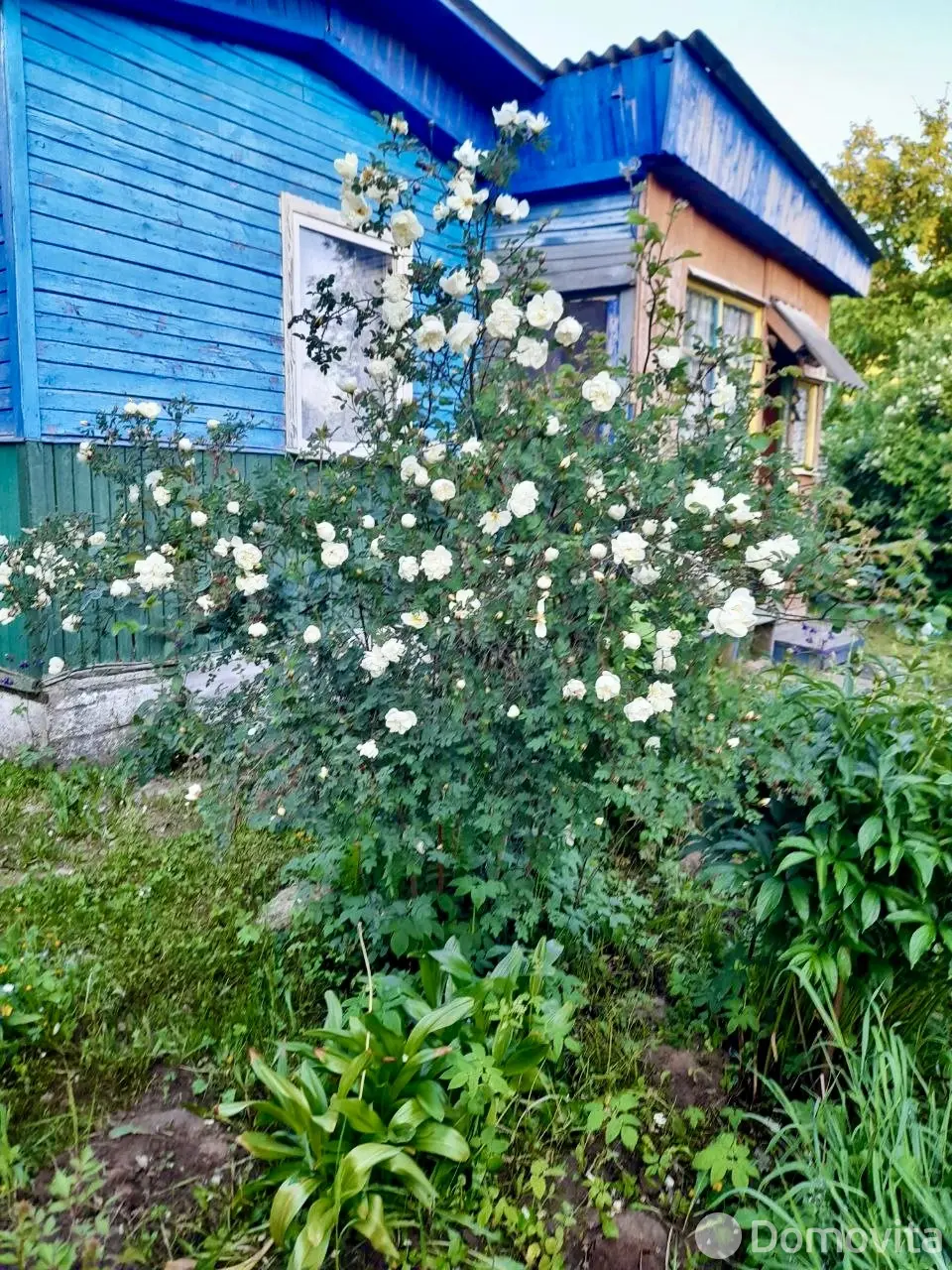 дача, Олехновичи, - лучшее предложение