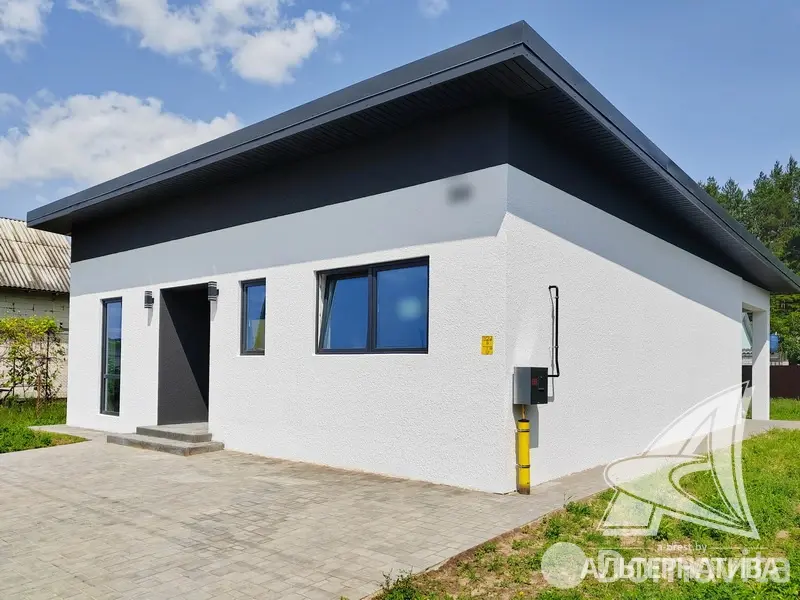 дом, Дружба,