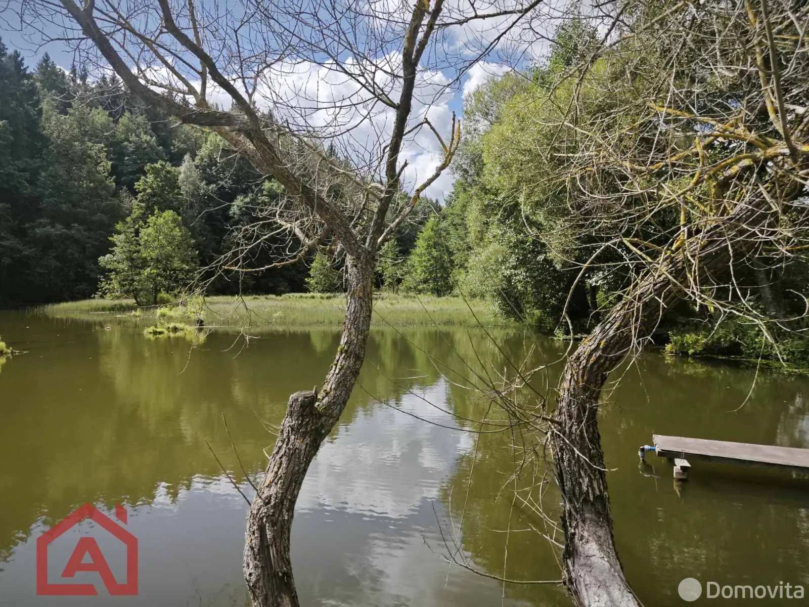 Купить земельный участок, 24.92 соток, Мончаки, Минская область, 54990USD, код 570913 - фото 38