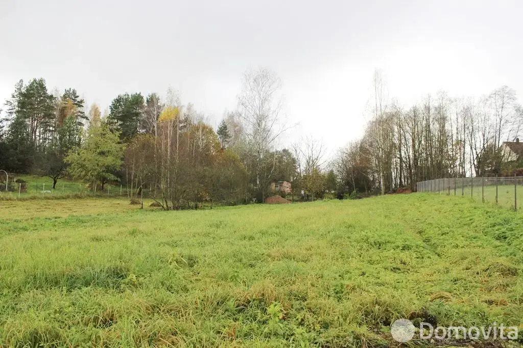 участок, Марковщина, ул. Центральная