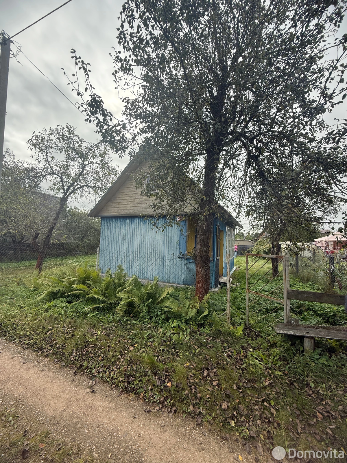 дача, Дорожник,