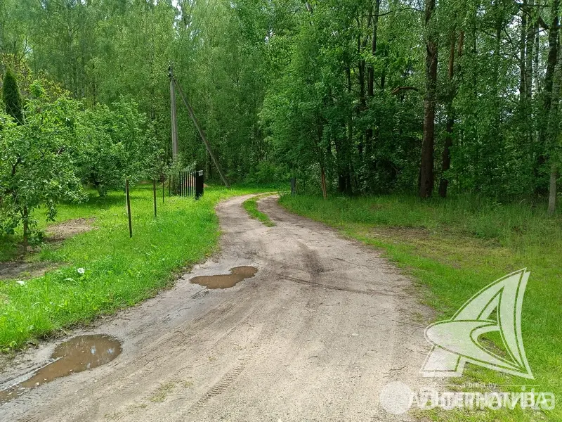 Купить земельный участок, 6.97 соток, Журавинка-83, Брестская область, 11500USD, код 570456 - фото 27