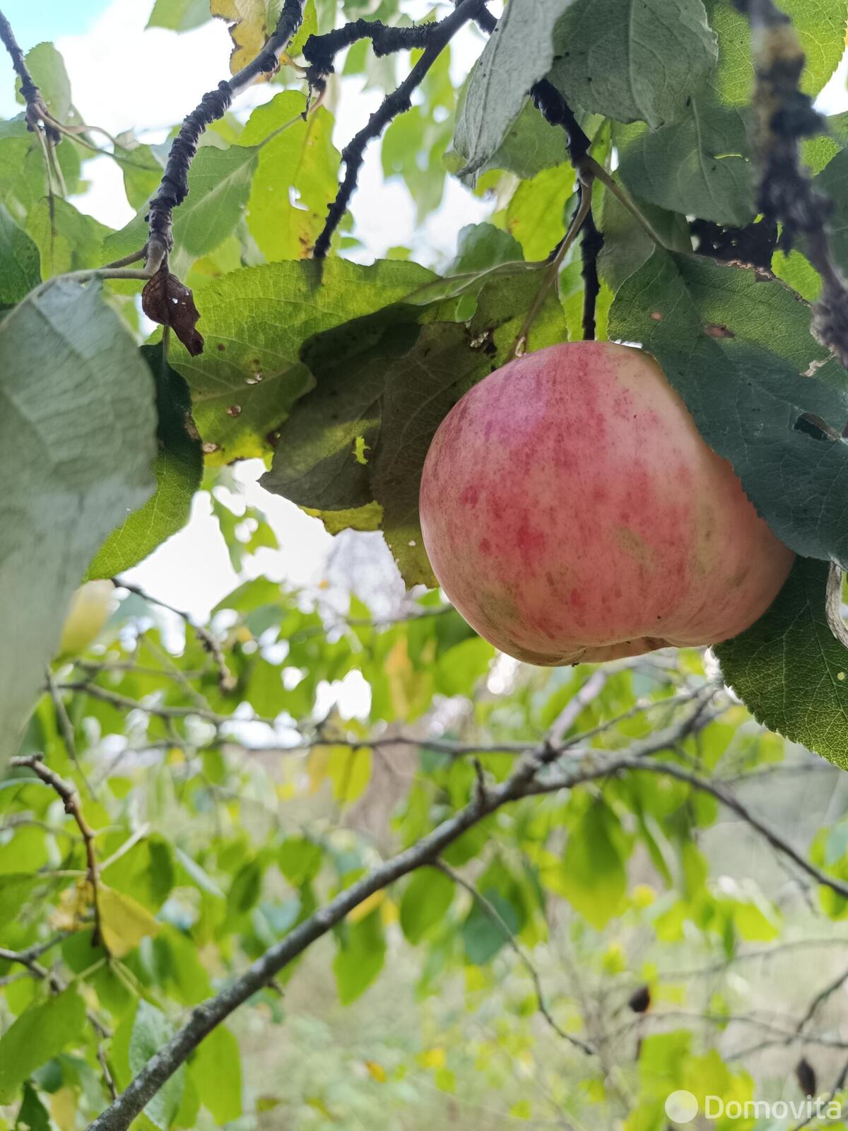 Цена продажи дачи, Мядельский сельский Совет, 