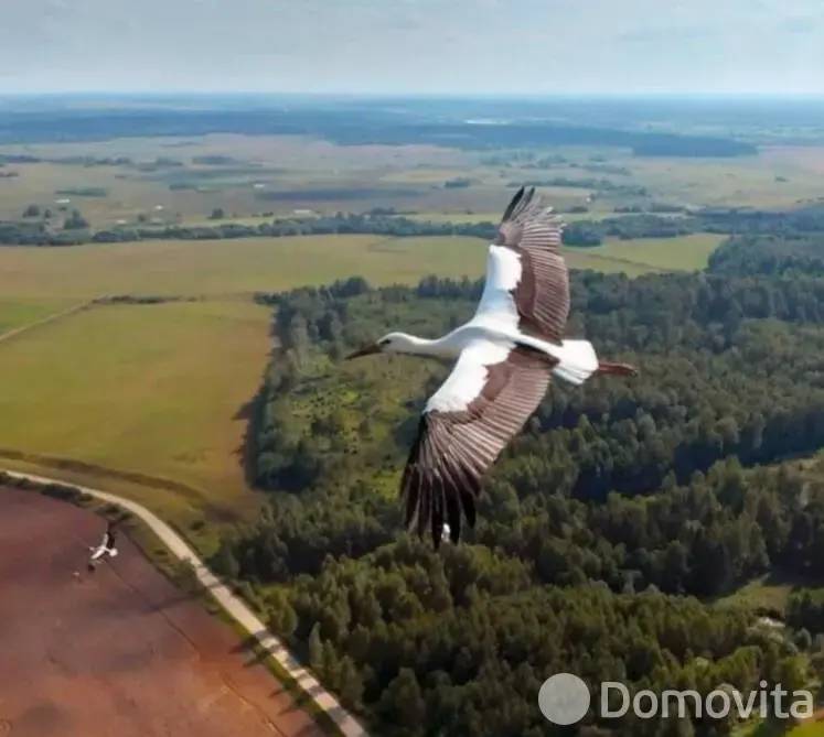 коттедж, Довъяты Большие, , стоимость продажи 84 958 р.