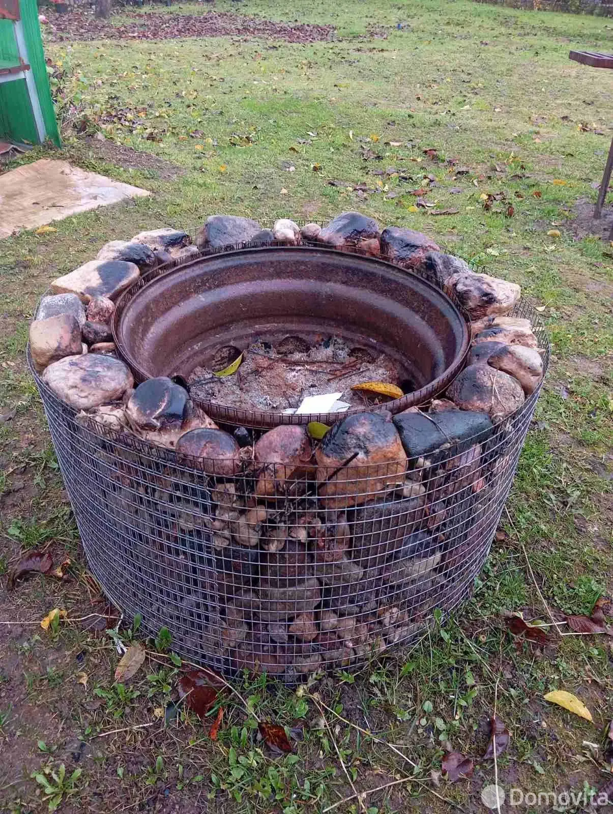 дача, Тюльпан, 