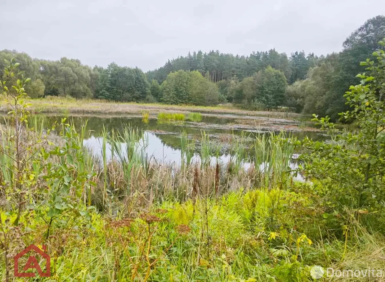 Купить земельный участок, 16.66 соток, Приселки, Минская область, 14000USD, код 571051 - фото 17