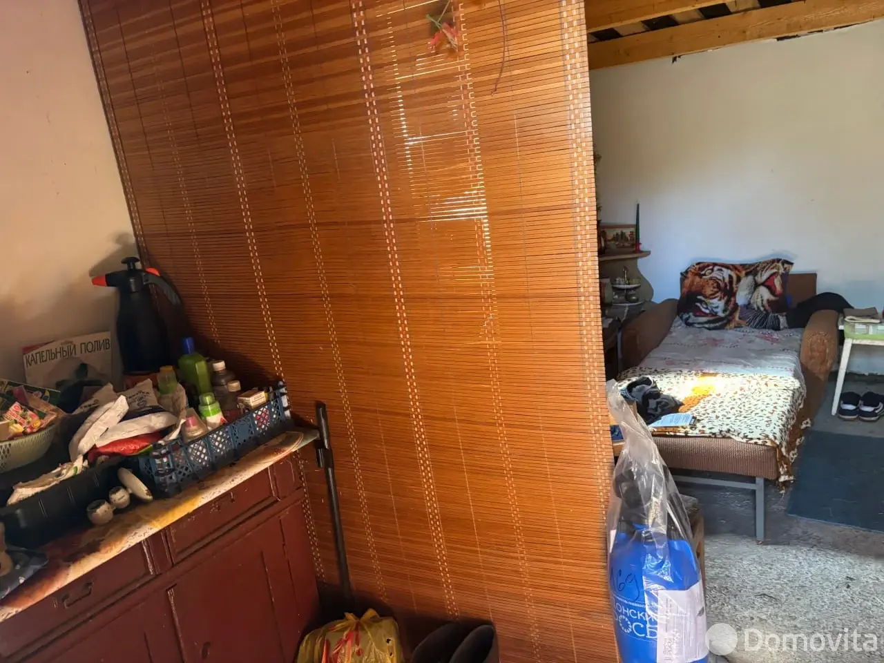 дача, Голубика,