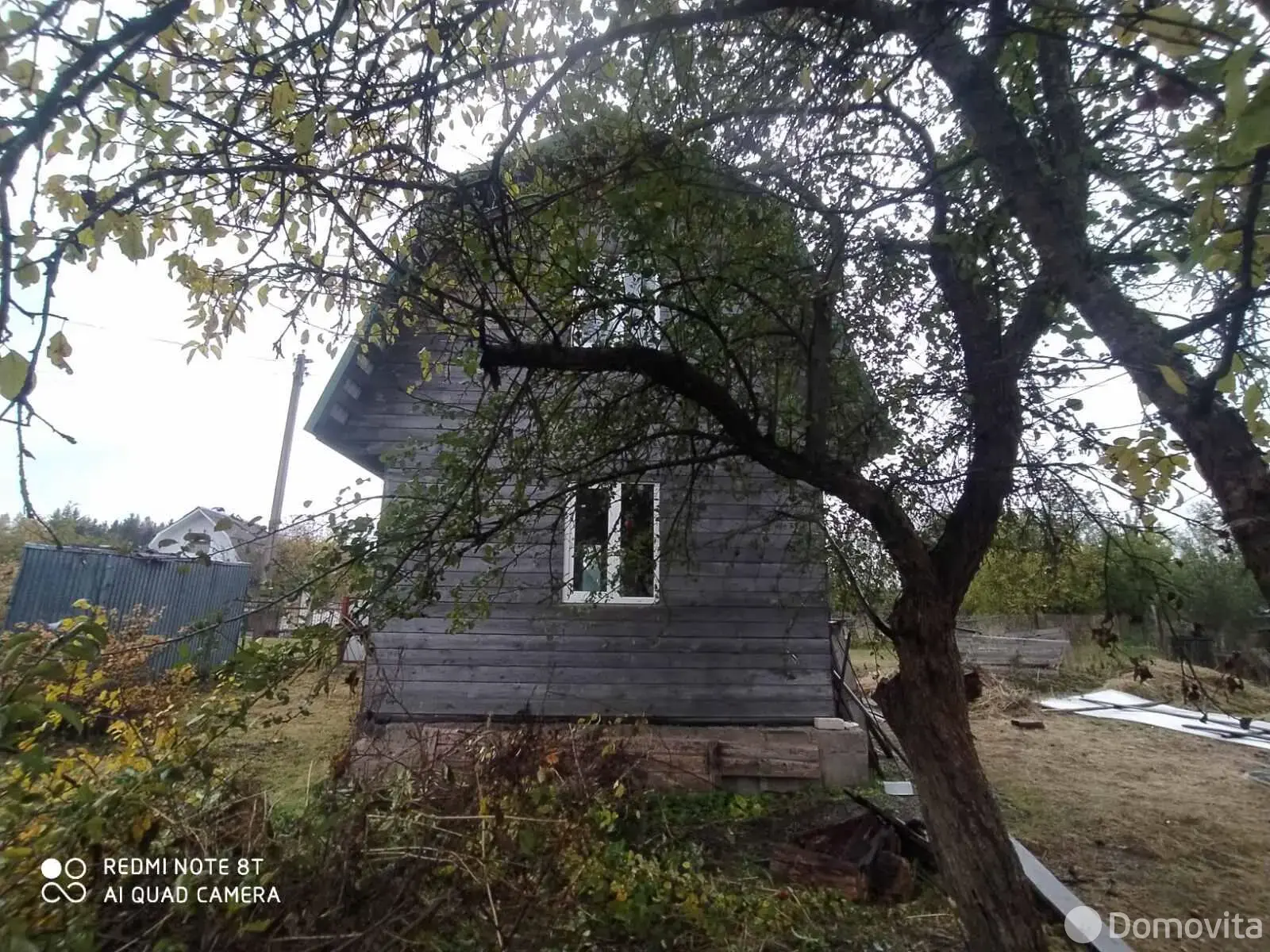 участок, Камыш, 