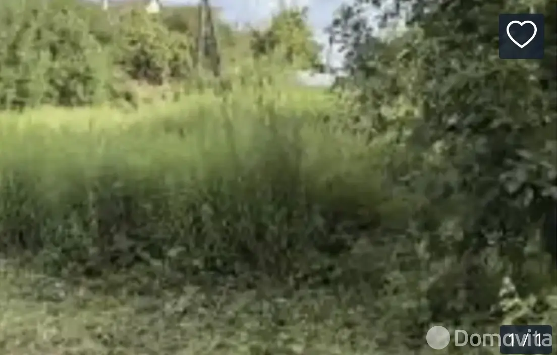 участок, Полиграфист, 