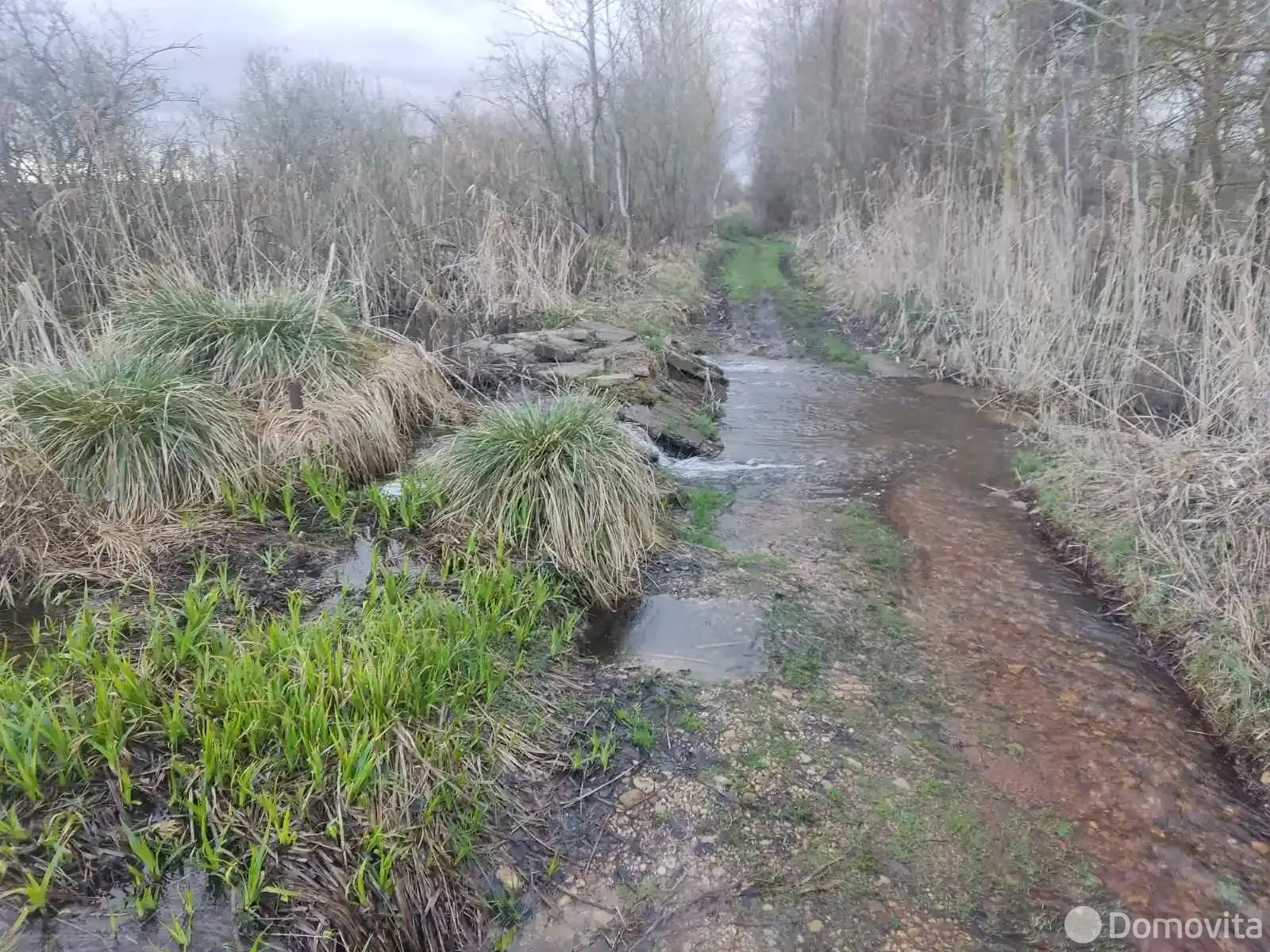 дача, Полочаны, ул. Советская, д. 157 