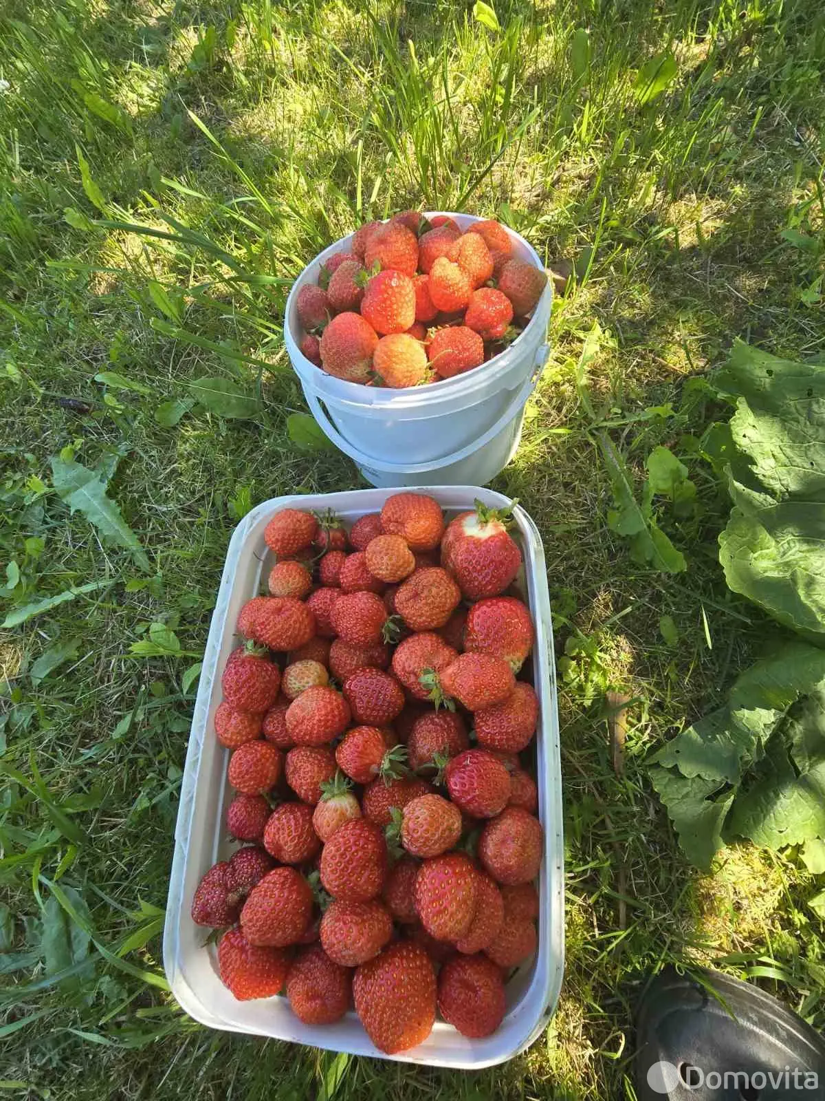 Продажа 3-этажной дачи в Тюльпан Минская область, 15000USD, код 184477 - фото 21