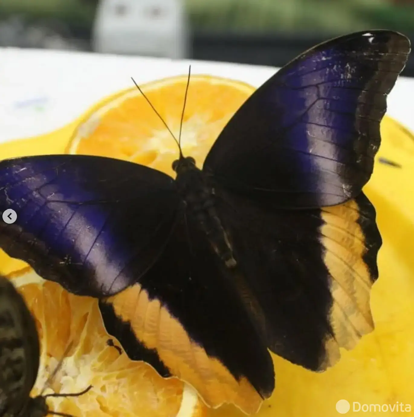 купить торговый объект, Минск, ул. Кирилла Туровского, д. 16