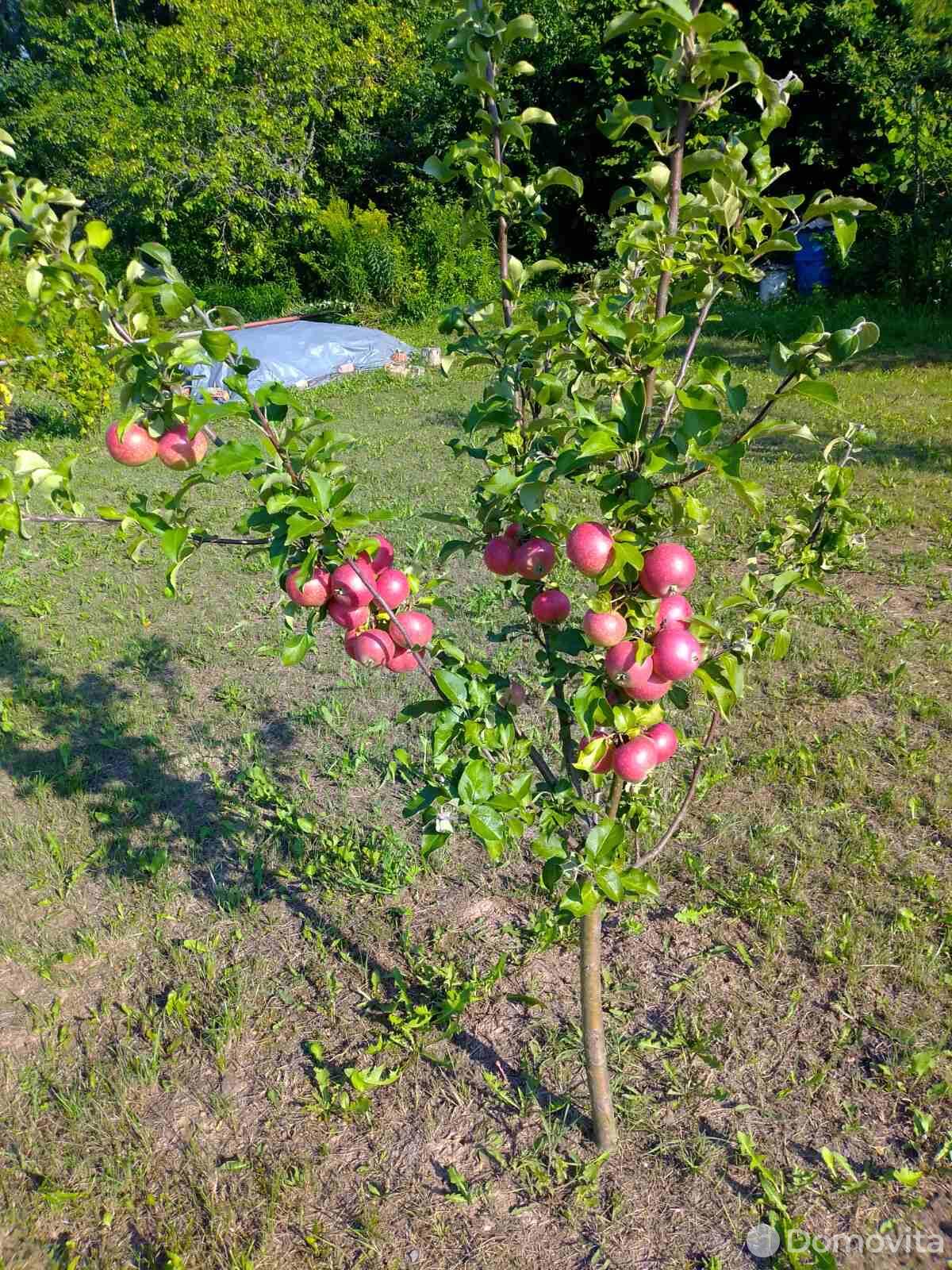 Цена продажи дачи, КУПАЛИНКА-МАЗ, 