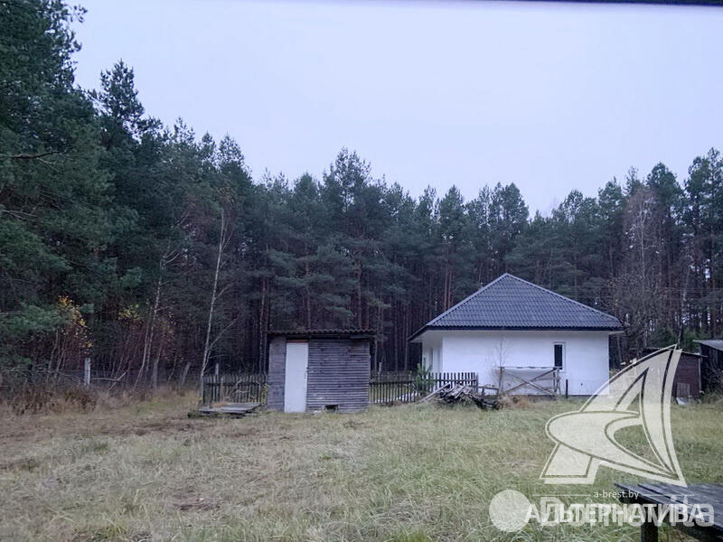 Купить 1-этажную дачу в Журавинка Брестская область, 29900USD, код 180636 - фото 15