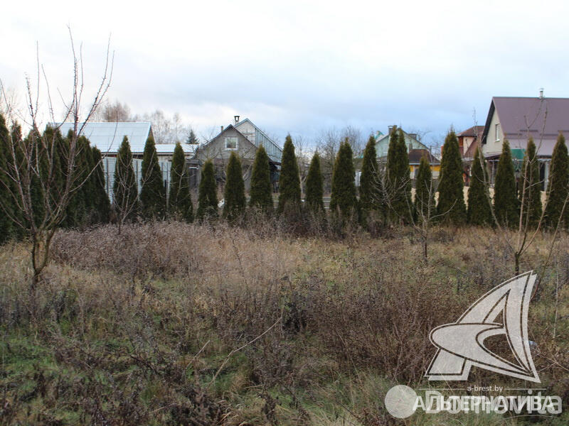 Купить 2-этажную дачу в Восток 92 Брестская область, 29900USD, код 180824 - фото 15