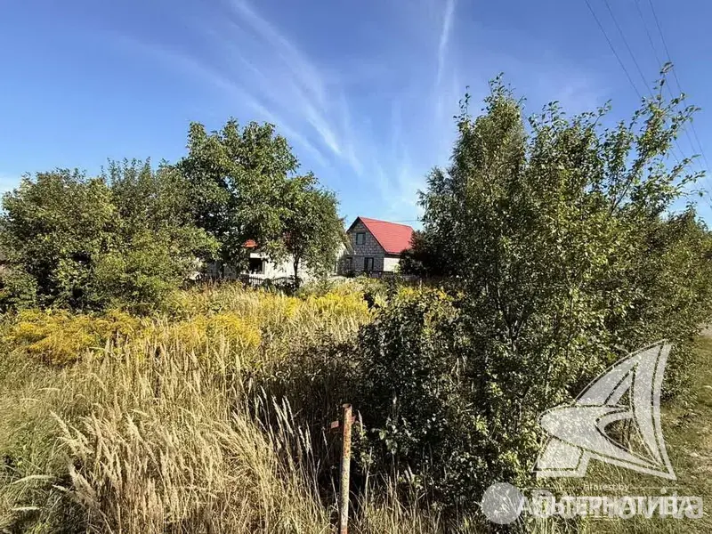 продажа участка, Урожай ОАО Брестхлебопродукт, 
