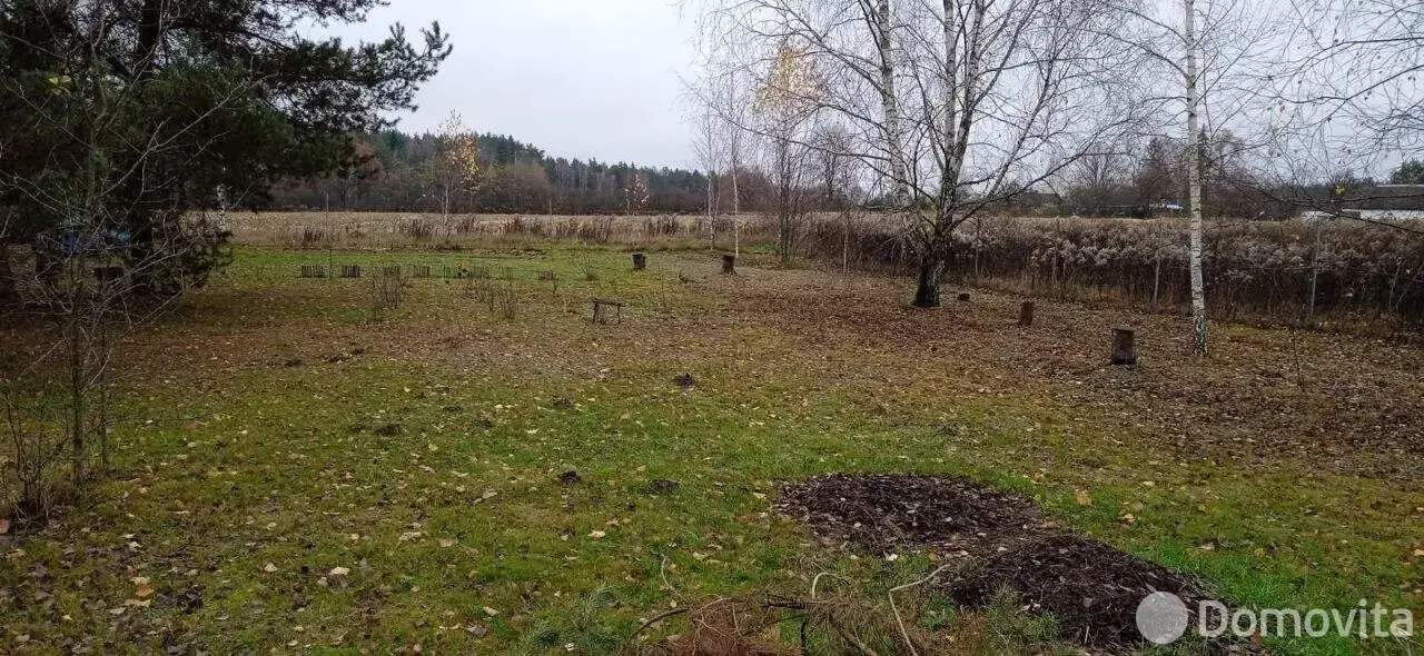 Продажа 1-этажной дачи в Пестуне Минская область, 17000USD, код 185497 - фото 12