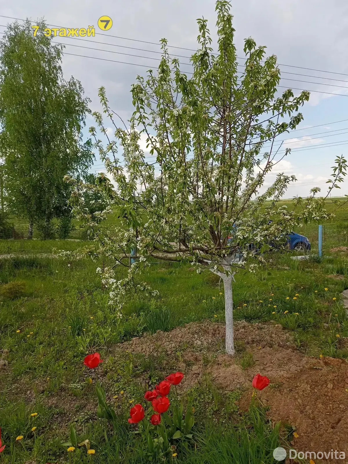 Продажа 1-этажной дачи в Вишневый сад Минская область, 11150USD, код 178393 - фото 48