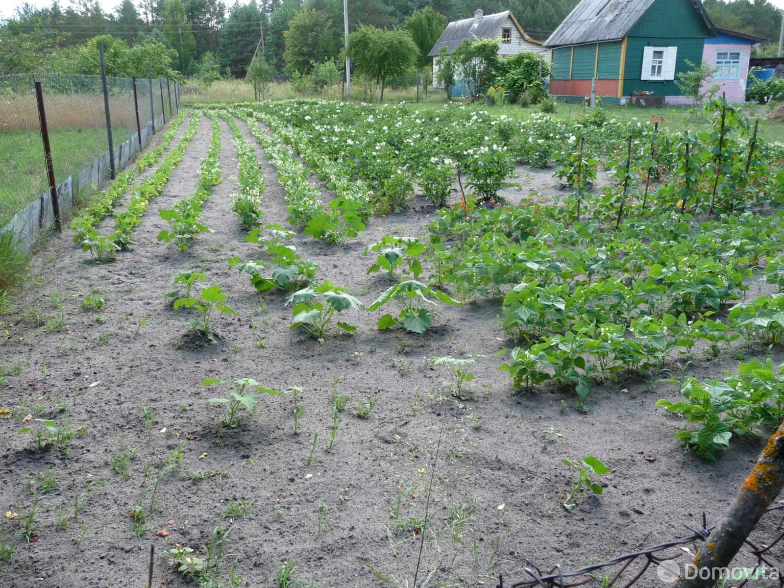 продажа дачи, Сосновый Бор-2, 