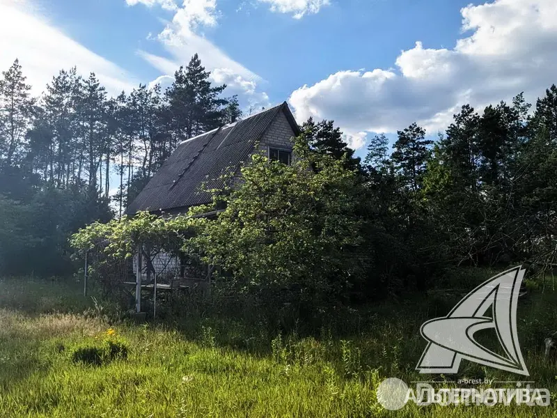 купить дачу, Ольха-91, 