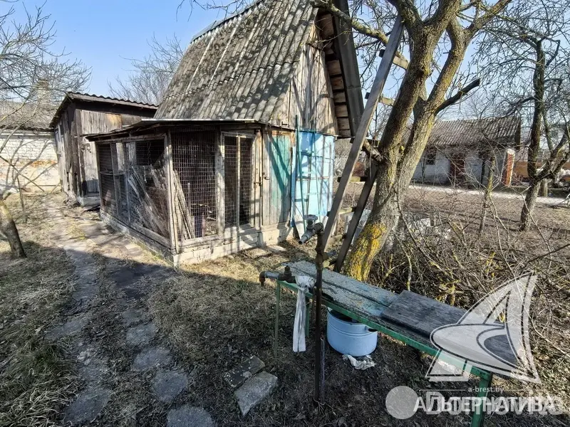 Купить 1-этажную дачу в Машиностроитель Брестская область, 20000USD, код 185134 - фото 16
