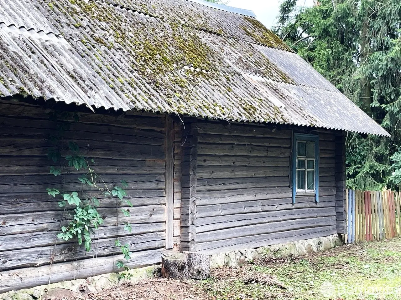 Купить 1-этажную дачу в Гедевичах Минская область, 5500USD, код 186565 - фото 16