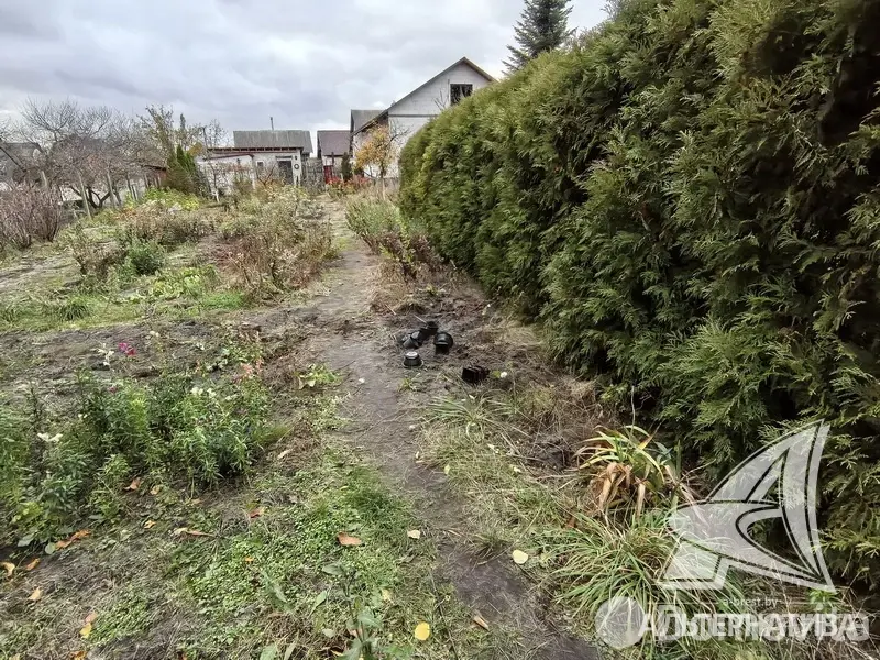 Продажа 1-этажной дачи в Машиностроитель Брестская область, 42000USD, код 184448 - фото 20