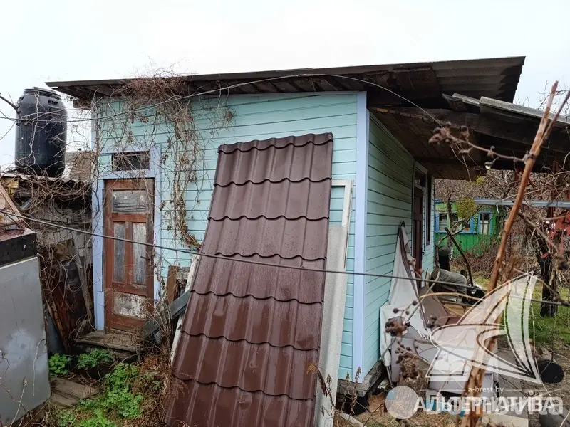 Купить 1-этажную дачу в Здоровье 2008 Брестская область, 15500USD, код 185353 - фото 23