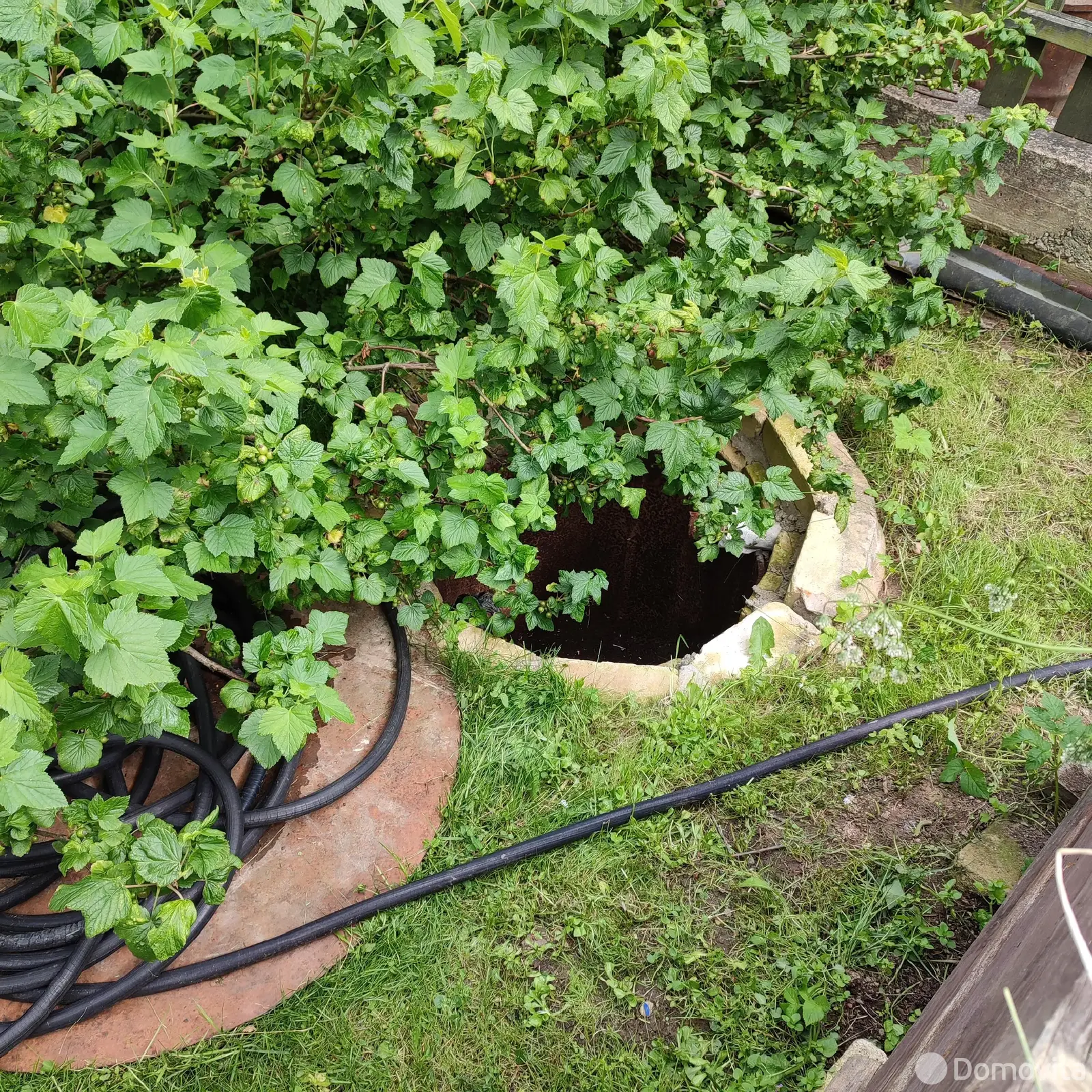 Продажа 2-этажной дачи в Факел Воложинский район Минская область, 30000USD, код 184196 - фото 14