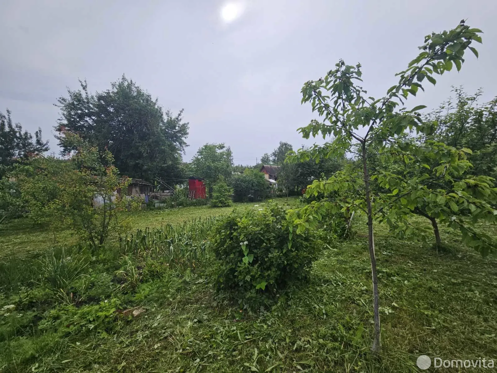 Продажа 1-этажной дачи в Витебске Витебская область, 9900USD, код 184147 - фото 12