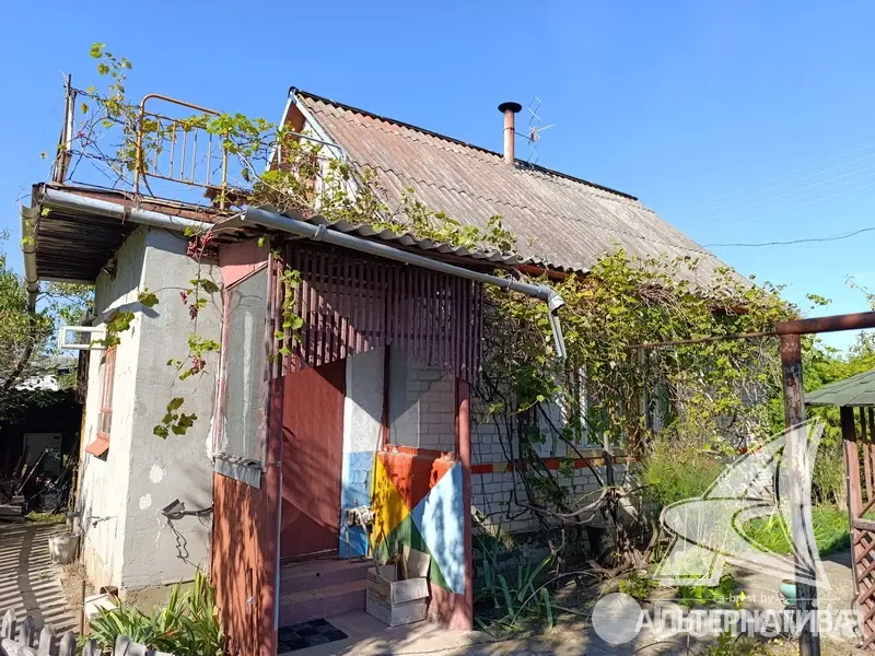 дача, Сигнал-2009, 