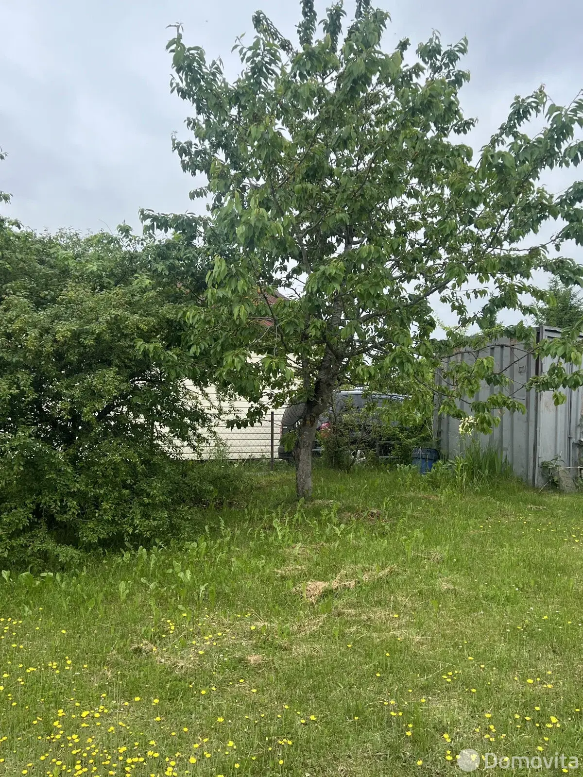 Продажа 1-этажной дачи в Лесное Минская область, 35000BYN, код 186131 - фото 15