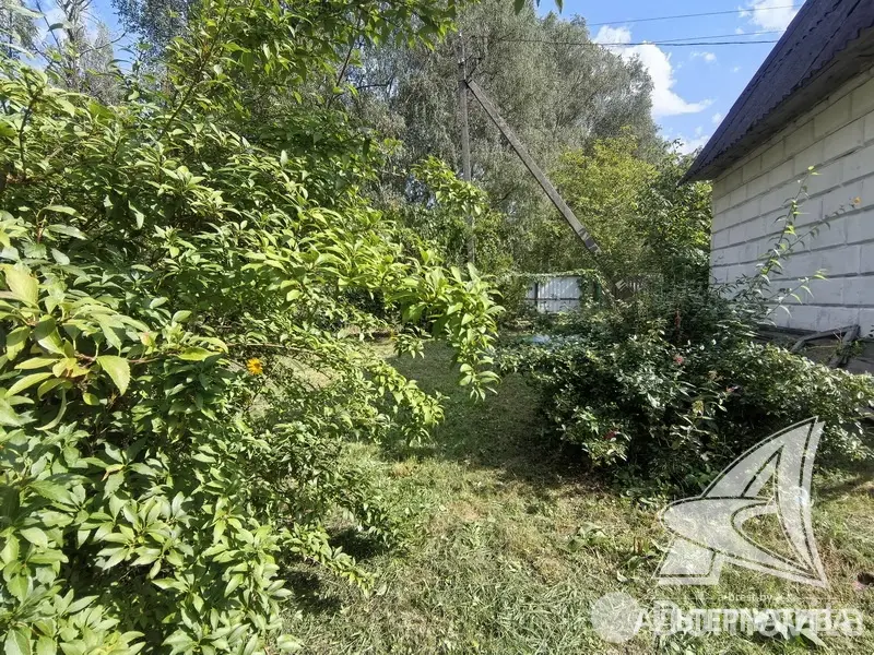 Продажа 2-этажной дачи в Поляна 10 Брестская область, 13500USD, код 184084 - фото 19