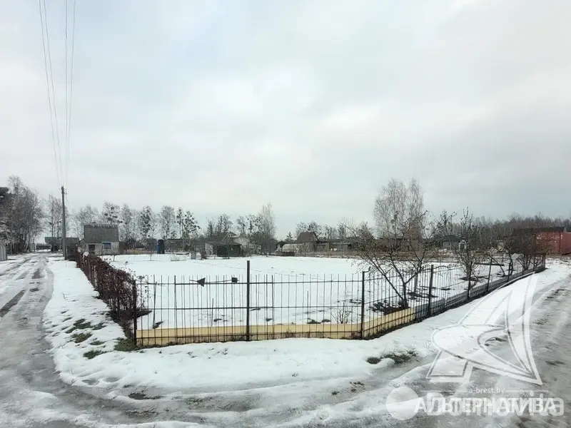 Стоимость продажи участка, Золотой корень,