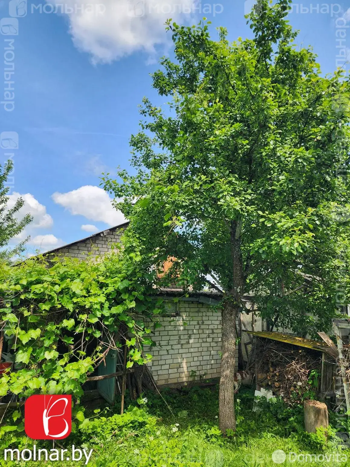 дача, Олехновичи, ул. Центральная, стоимость продажи 20 987 р.