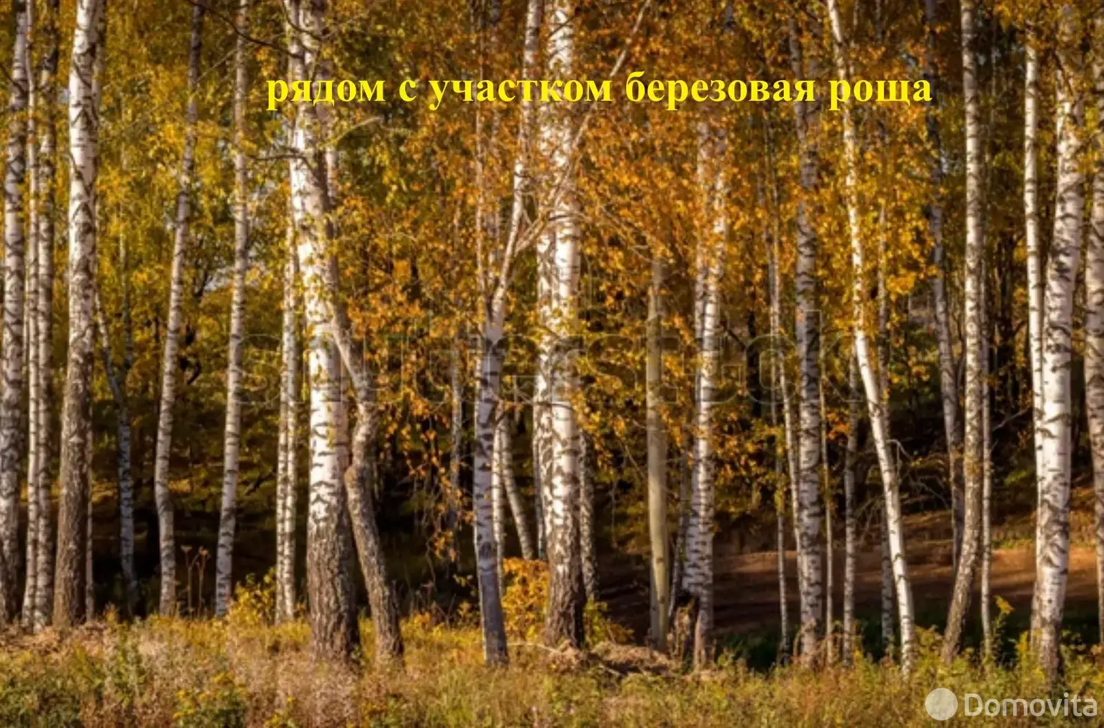 участок, Голышово, ул. Луговая, д. 5 