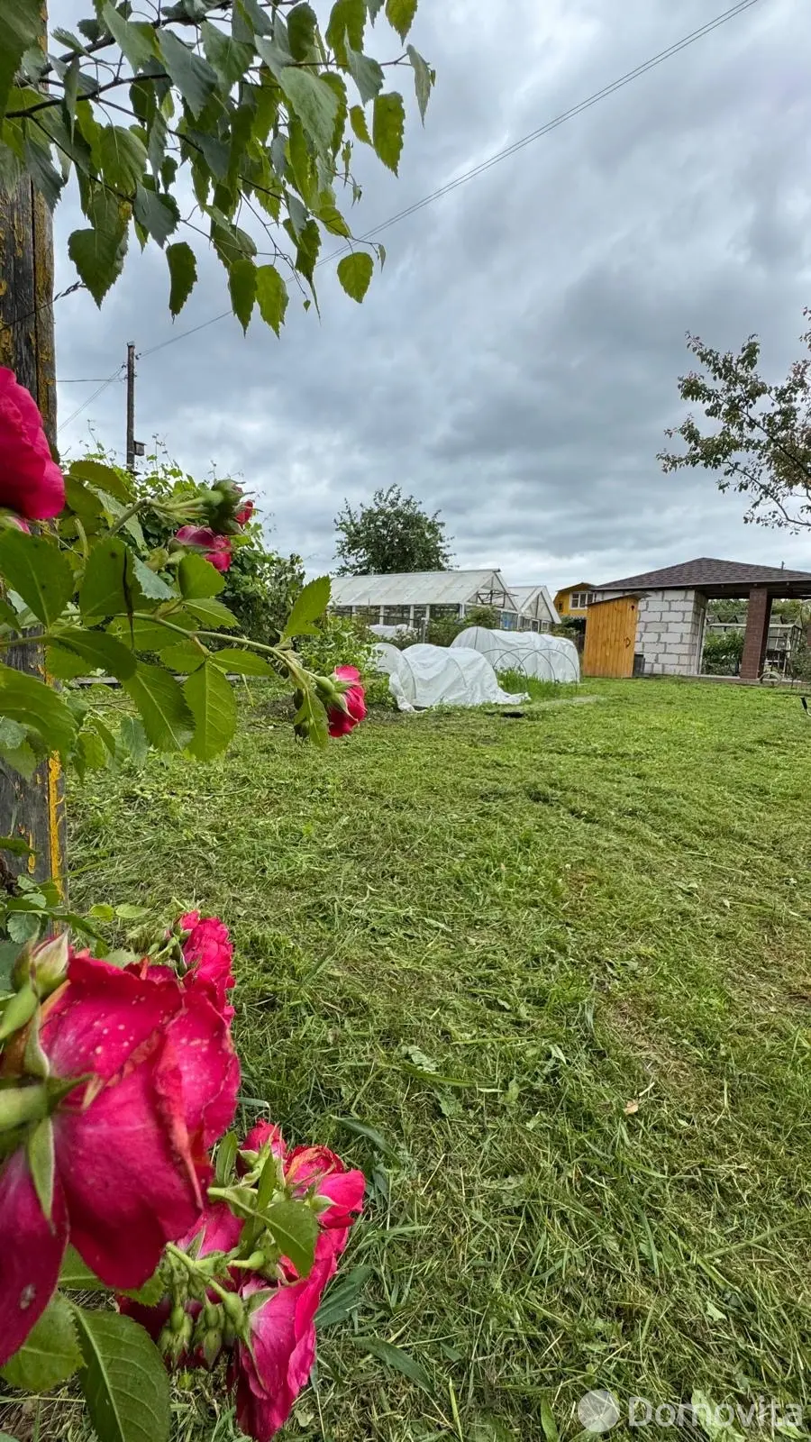 Продажа 1-этажной дачи в Зелёный луг Гомельская область, 5000USD, код 183406 - фото 13