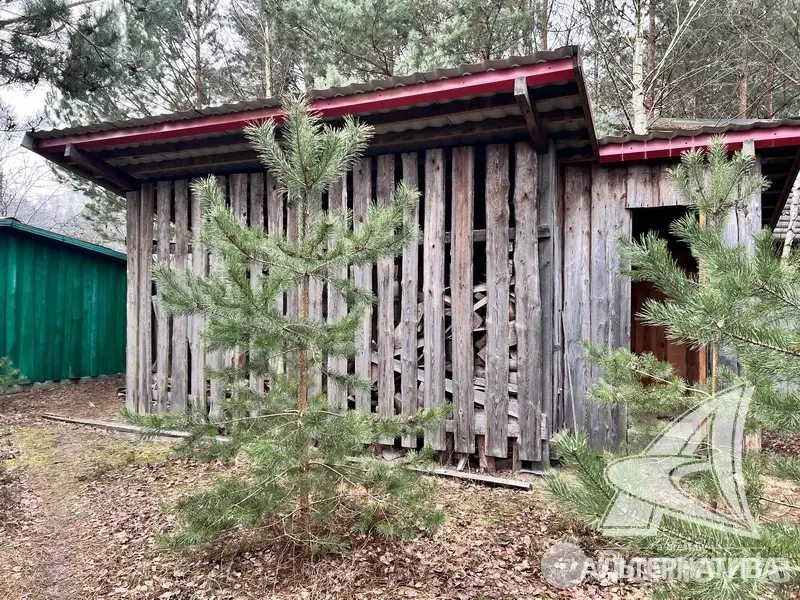 Купить 1-этажную дачу в Алеся-50 Брестская область, 31900USD, код 181350 - фото 22