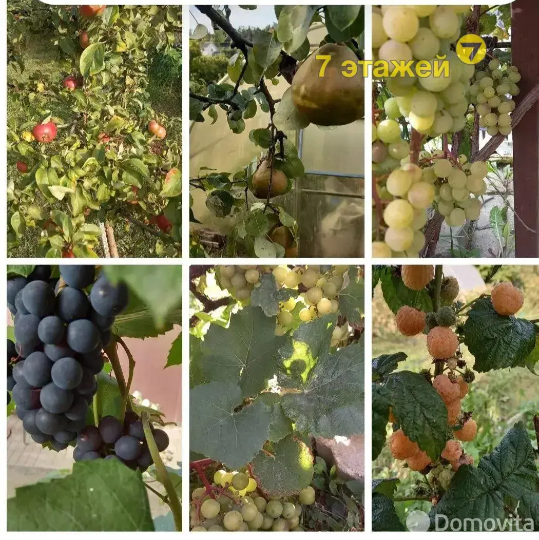 Купить 1-этажную дачу в Лукоморье Минская область, 39900USD, код 184970 - фото 18