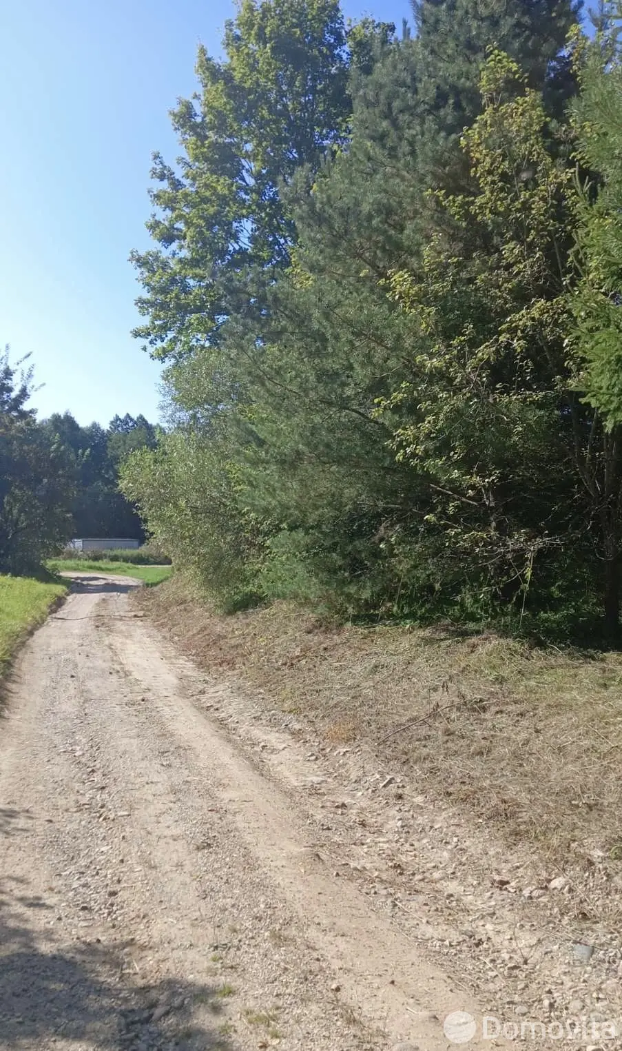 участок, Падеричи, ул. Центральная, стоимость продажи 11 635 р.