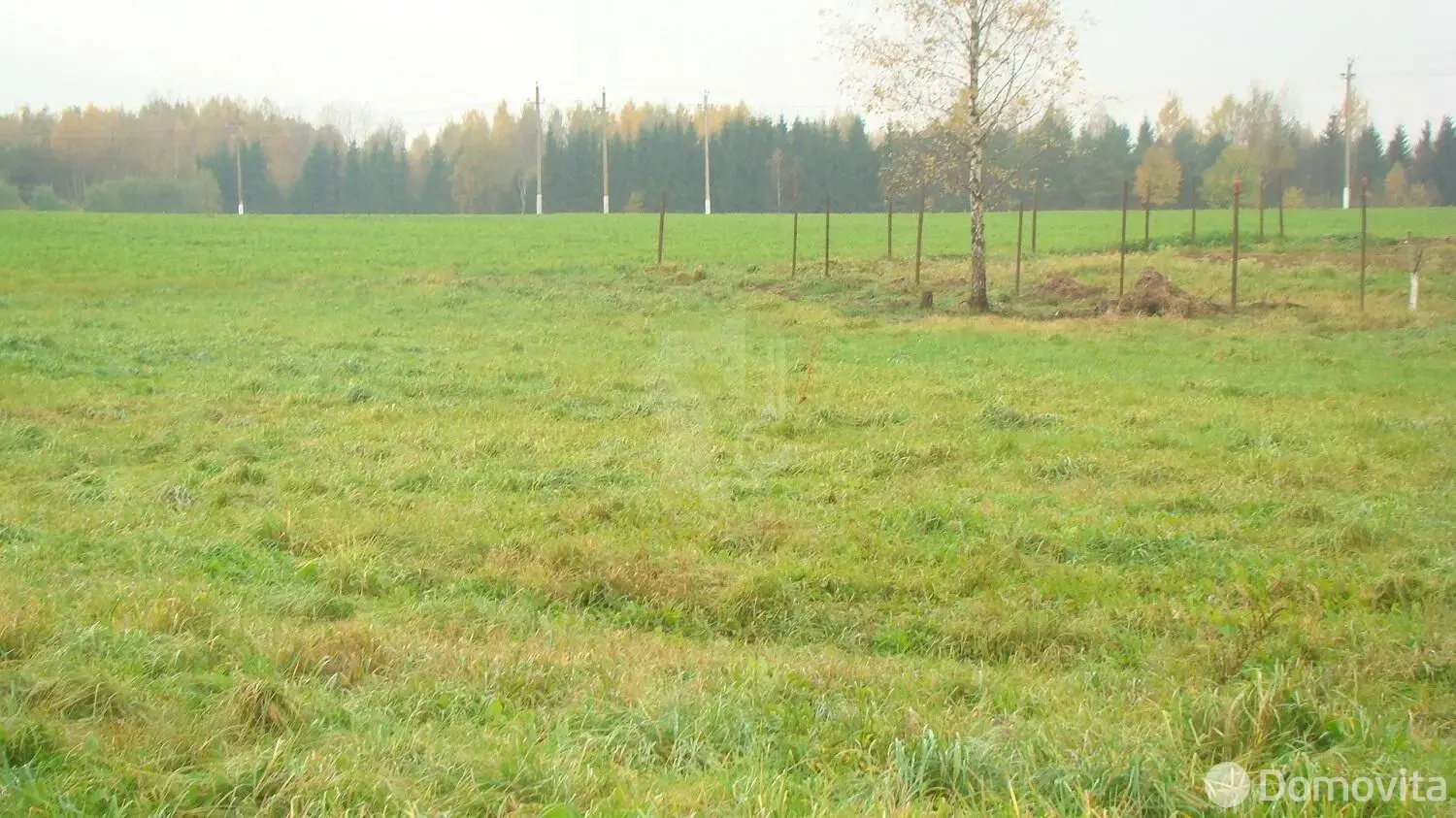 участок, Озерцо, ул. Центральная 