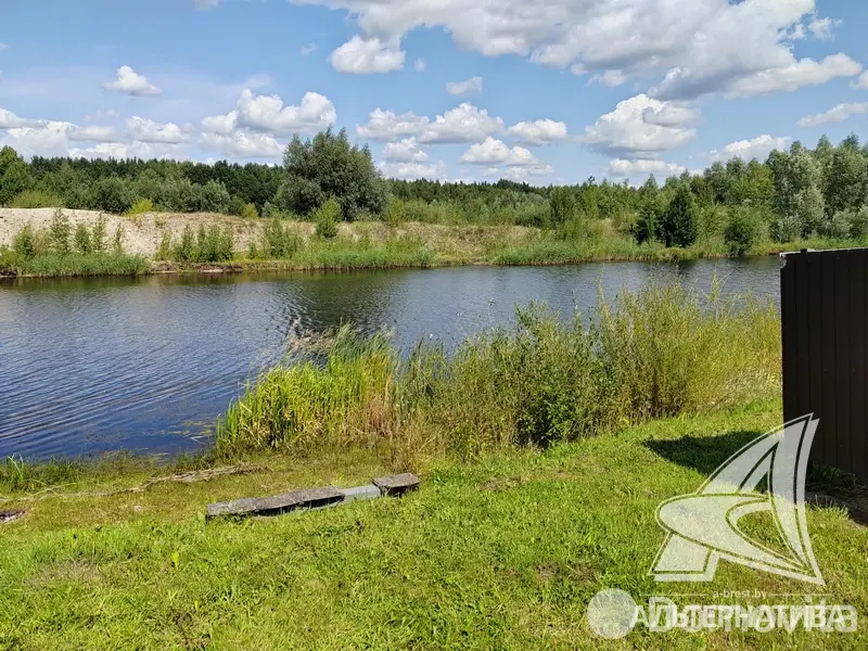 Продажа 1-этажной дачи в Ивушка-91 Брестская область, 29900USD, код 183592 - фото 20