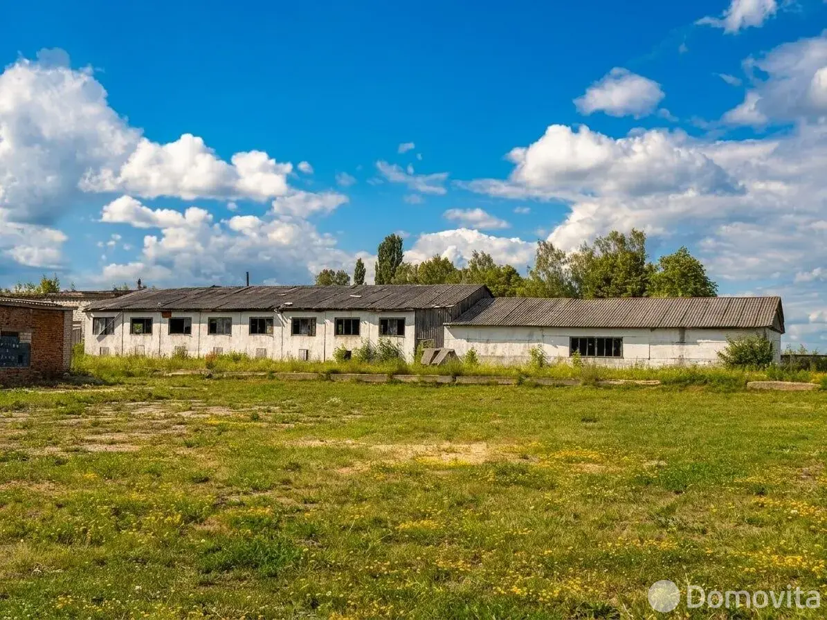 Купить помещение под сферу услуг в Корме, ул. Рогачёвская, д. 21/Д - фото 11