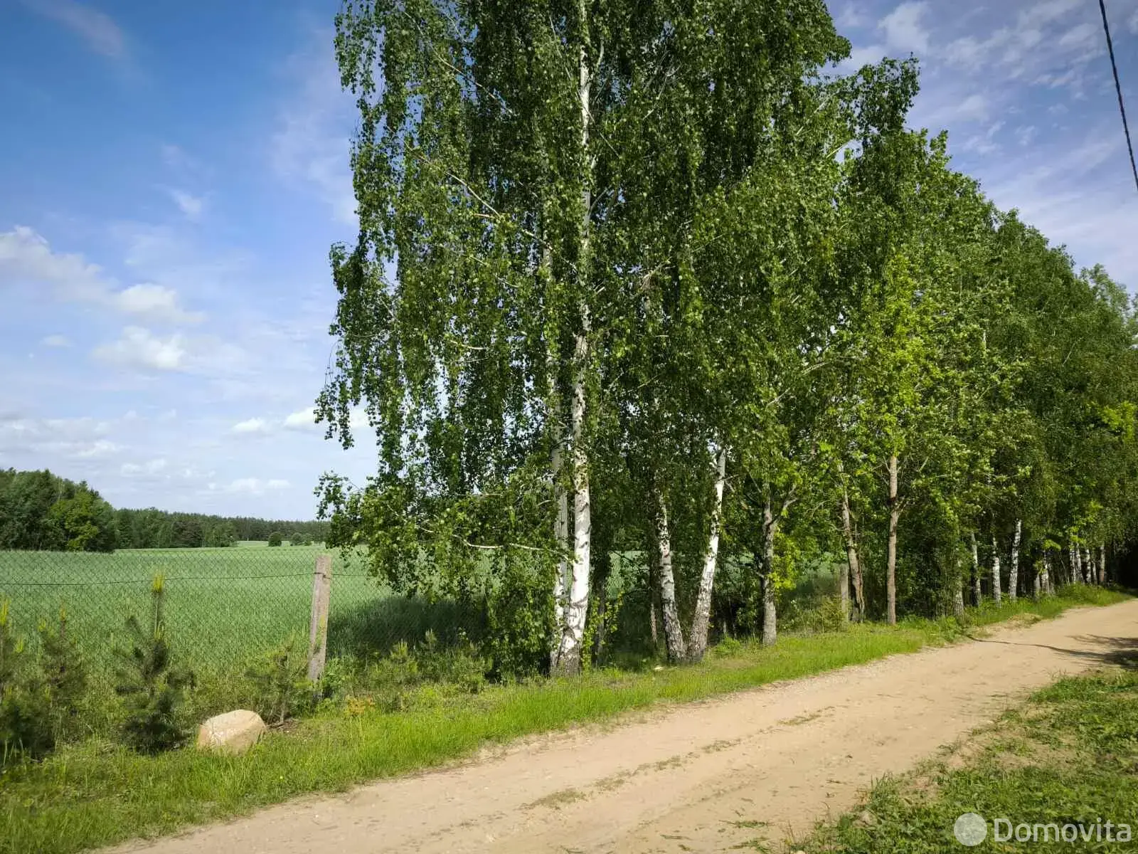 Купить земельный участок, 10.36 соток, Рунь, Минская область, 35000BYN, код 572138 - фото 7