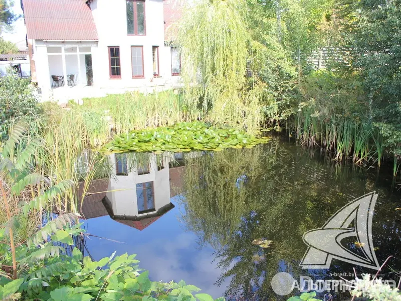 Купить 1-этажную дачу в Бресте Брестская область, 76000USD, код 184315 - фото 21