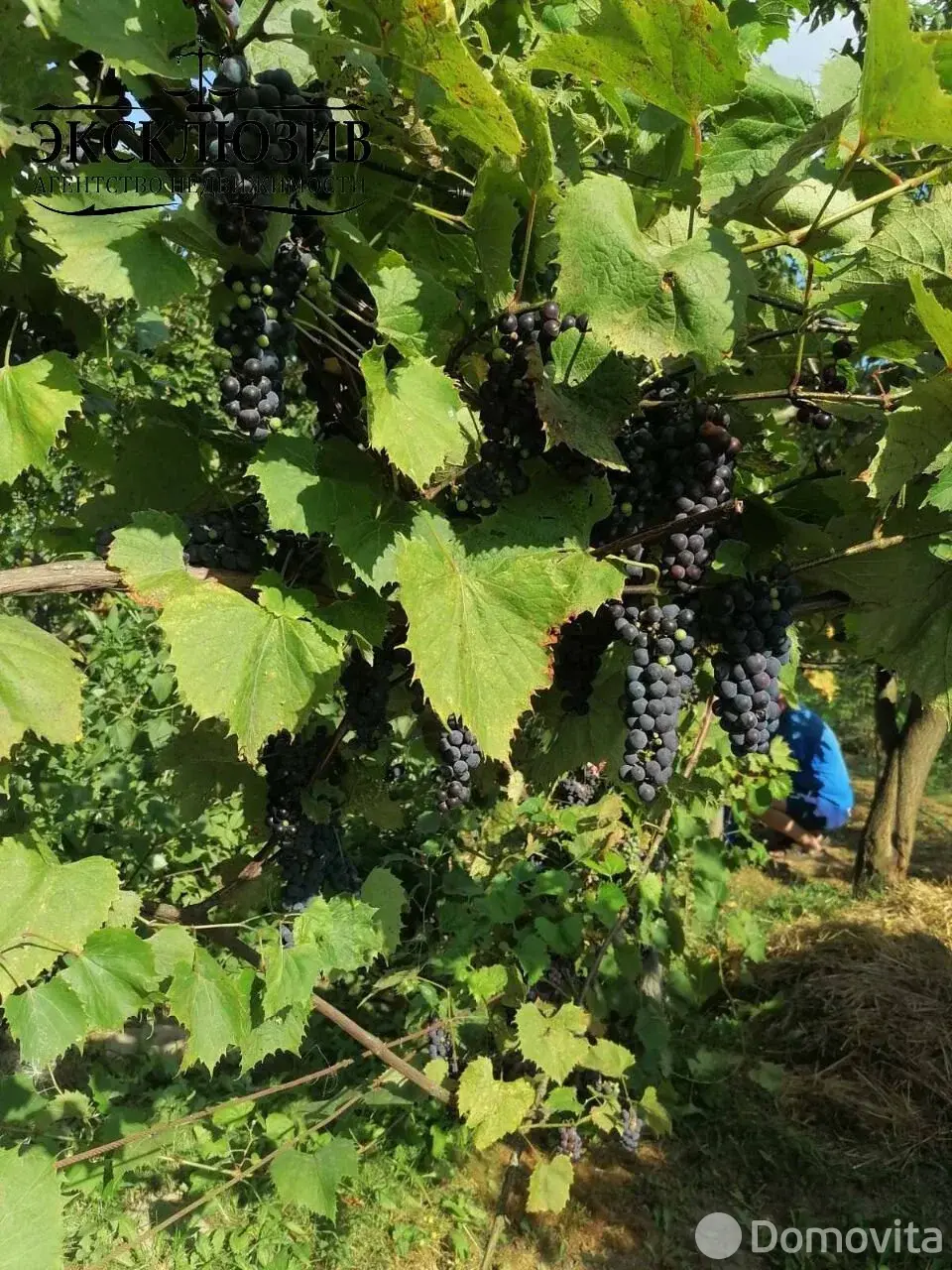 продажа дома, Пытьковка, ул. Дорожная, д. 18